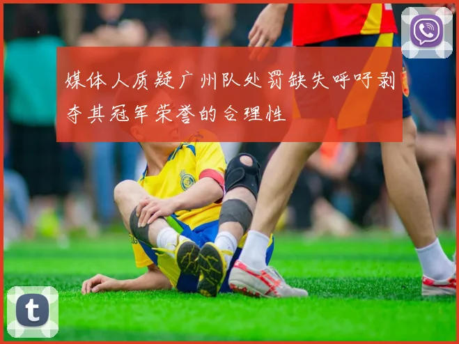 媒体人质疑广州队处罚缺失呼吁剥夺其冠军荣誉的合理性