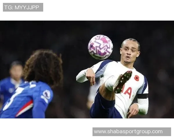 热刺对武什科维奇在汉堡的外租表现表示满意视其为球队重要一员